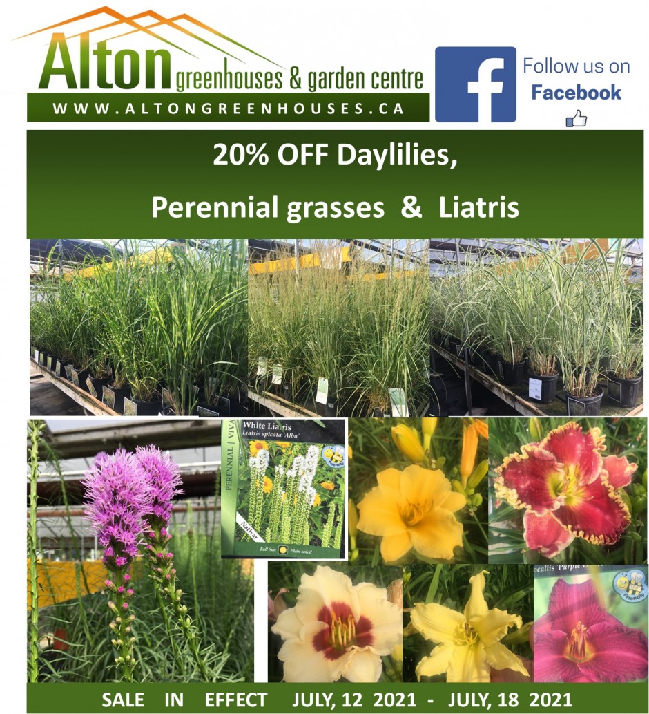 to Alton Greenhouse & Garden Centre Alton Greenhouses